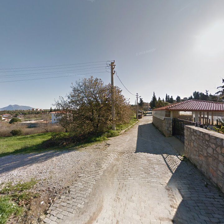 Fotoğraf 10