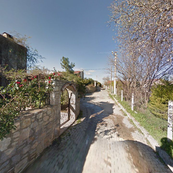 Fotoğraf 8