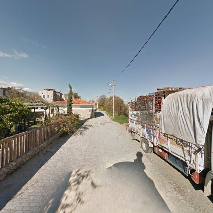 Fotoğraf 7