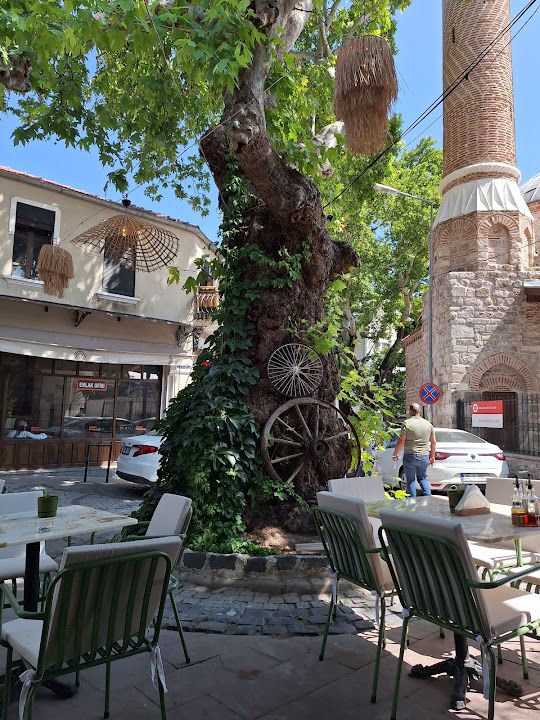 Fotoğraf 34