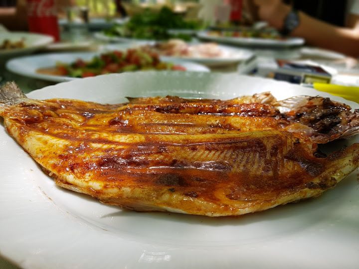 Fotoğraf 32