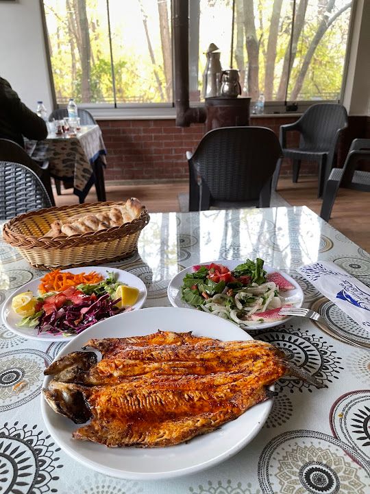 Fotoğraf 24