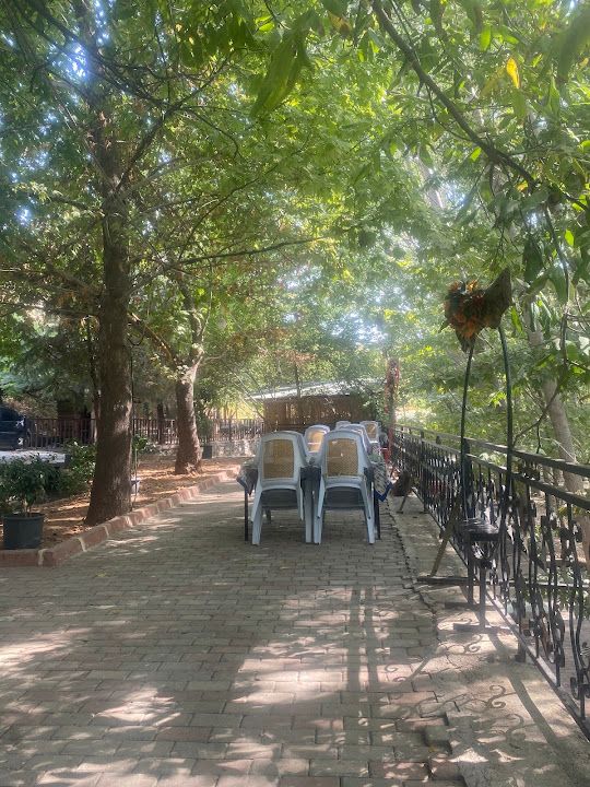 Fotoğraf 18