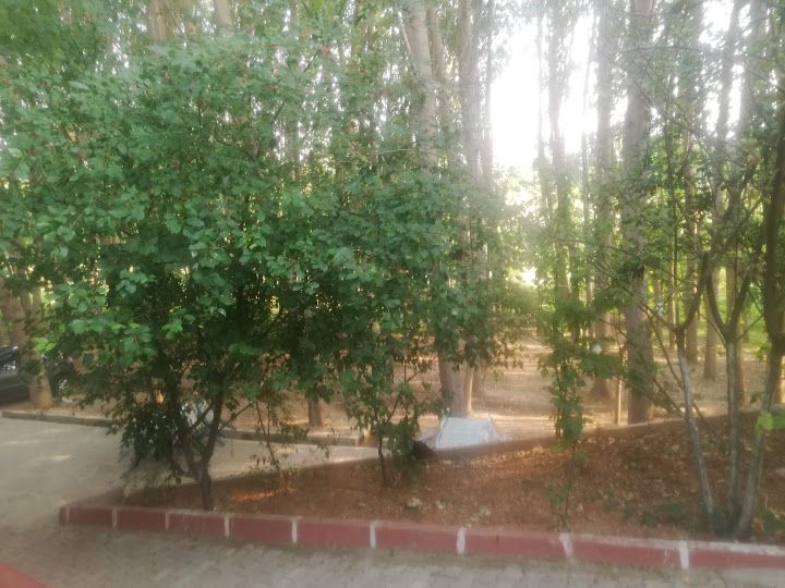 Fotoğraf 15