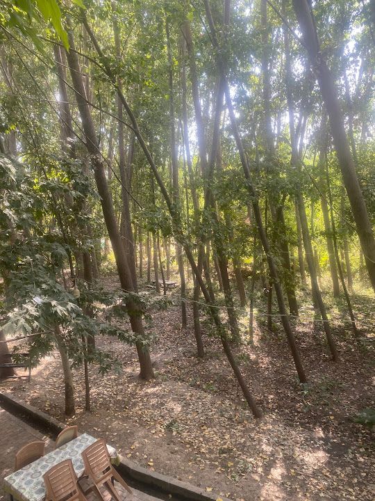 Fotoğraf 17