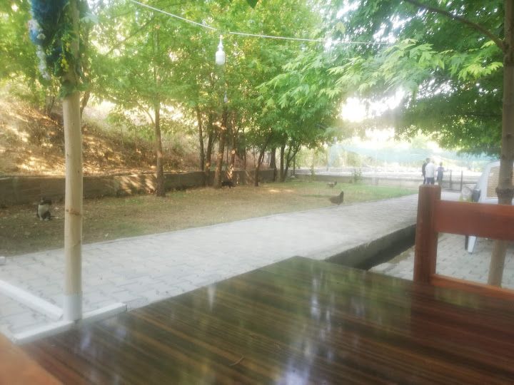 Fotoğraf 16