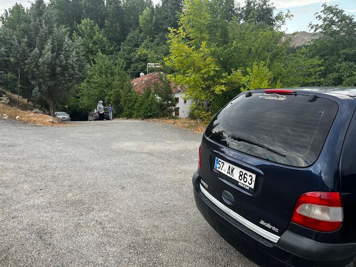 Fotoğraf 14