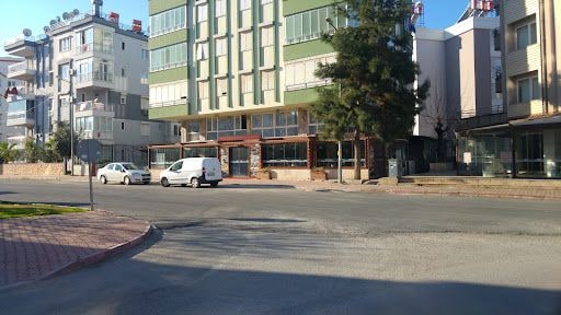 Yorum fotoğrafı 3