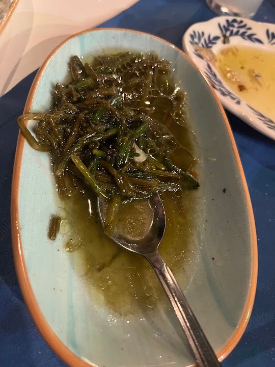 Fotoğraf 13