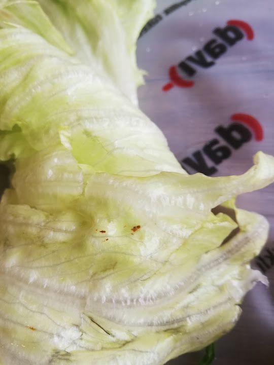 Fotoğraf 27