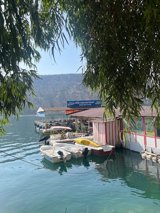 Yorum fotoğrafı 4