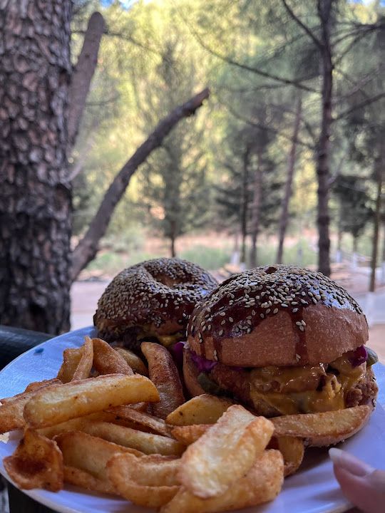 Fotoğraf 15