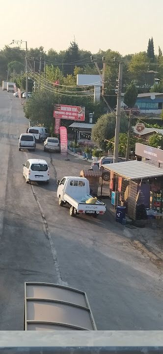Fotoğraf 42