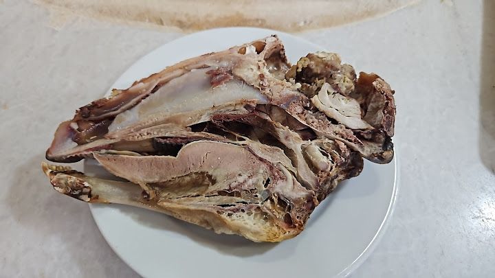 Fotoğraf 20