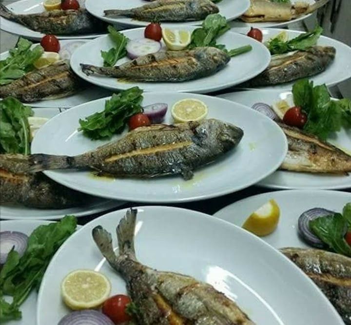 Fotoğraf 19