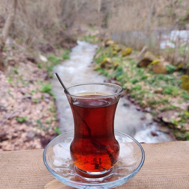 Fotoğraf 12