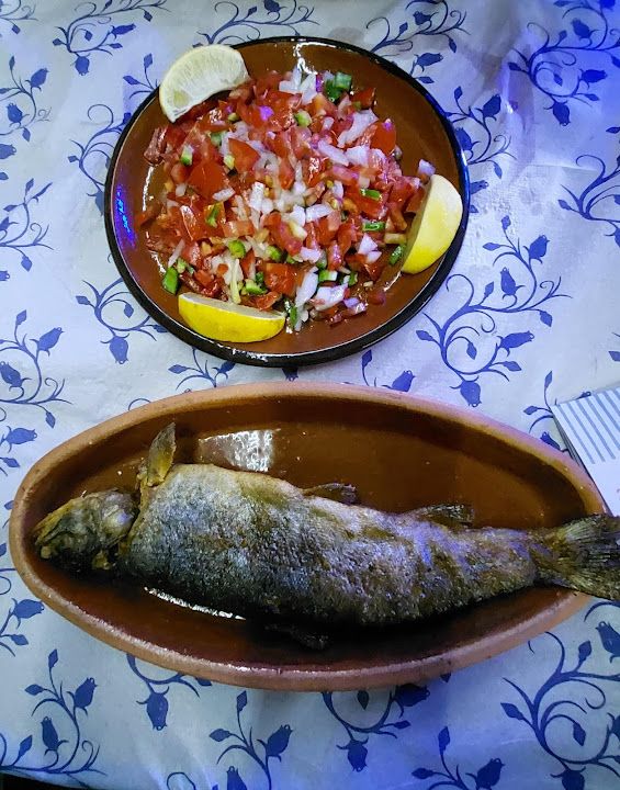 Fotoğraf 13