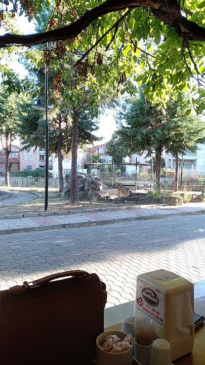 Fotoğraf 14