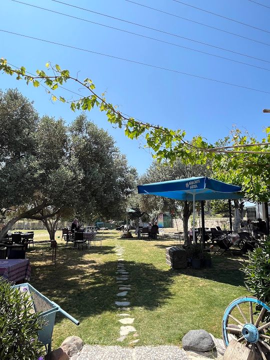 Fotoğraf 57