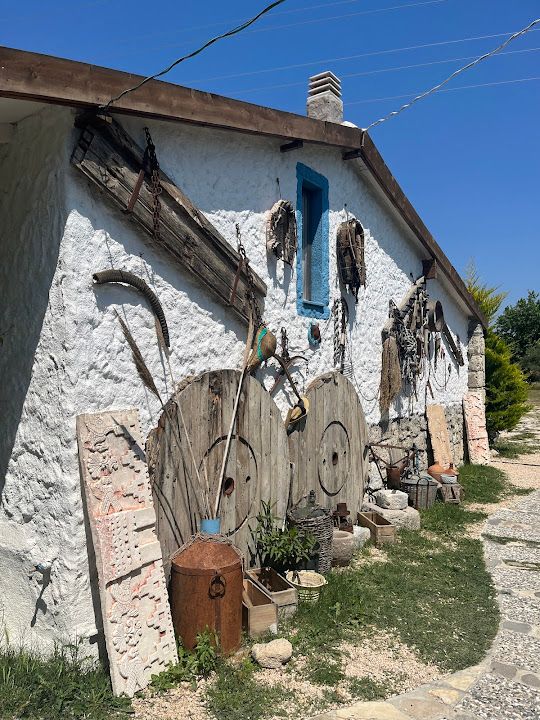 Fotoğraf 56