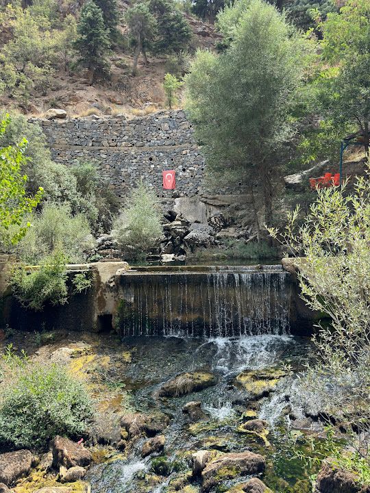 Yorum fotoğrafı 3