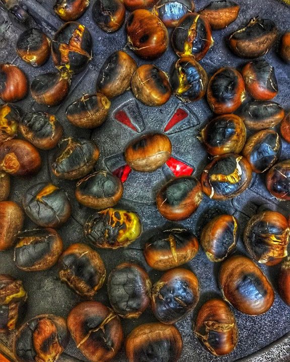 Fotoğraf 12