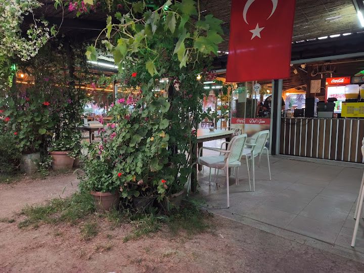 Fotoğraf 31