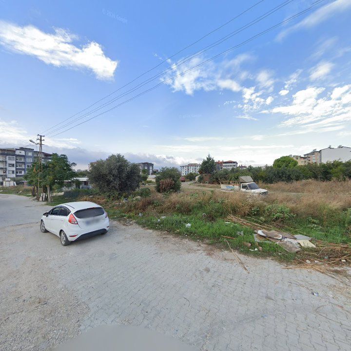 Fotoğraf 4