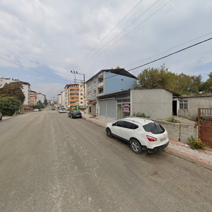 Fotoğraf 3