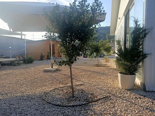 Fotoğraf 39