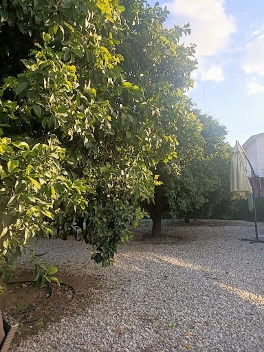 Fotoğraf 40