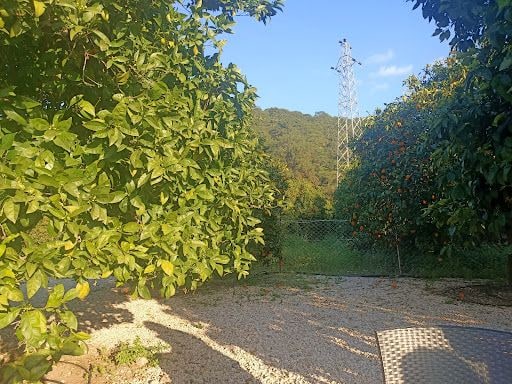 Fotoğraf 41