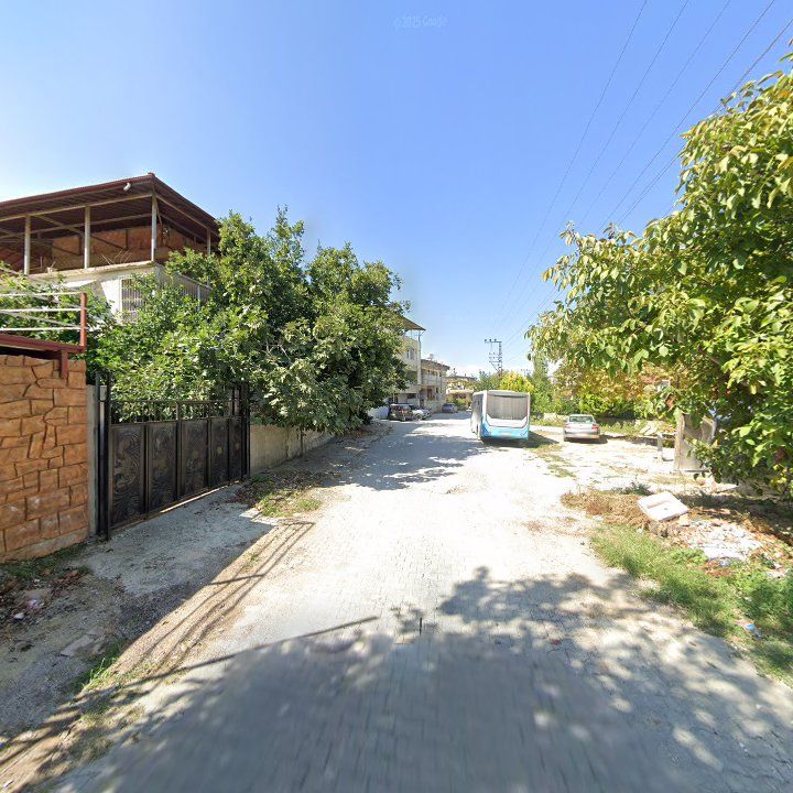 Fotoğraf 5