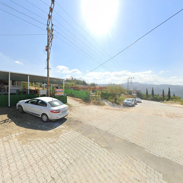 Fotoğraf 3
