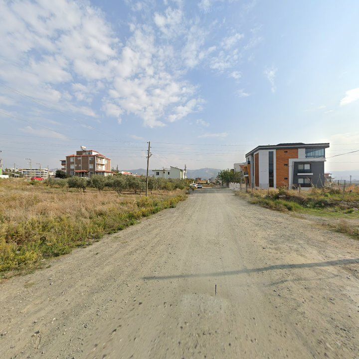 Fotoğraf 4