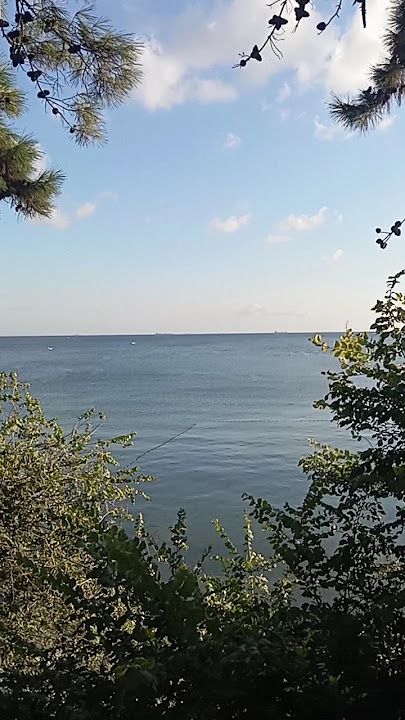 Fotoğraf 34