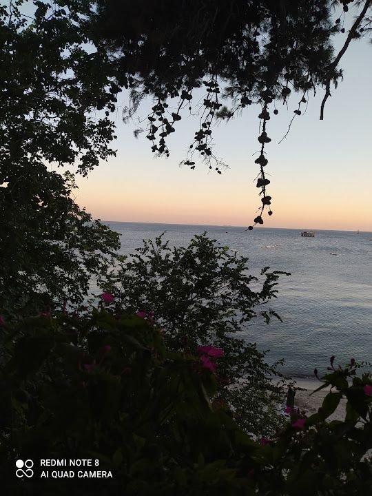 Fotoğraf 54