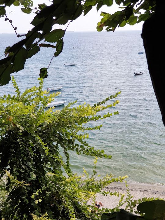 Fotoğraf 24
