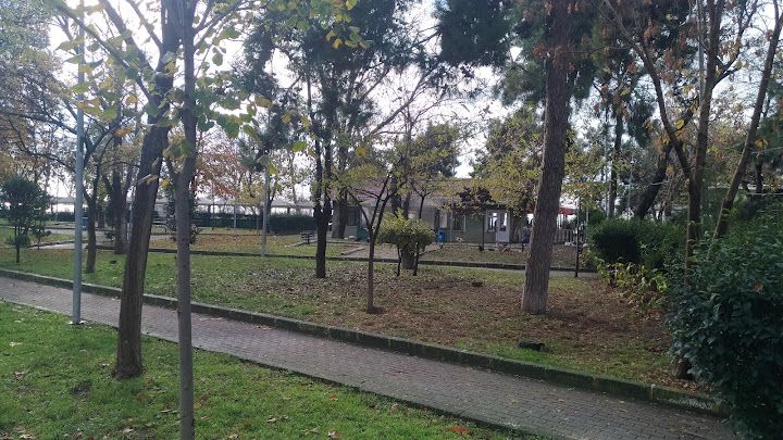 Fotoğraf 55