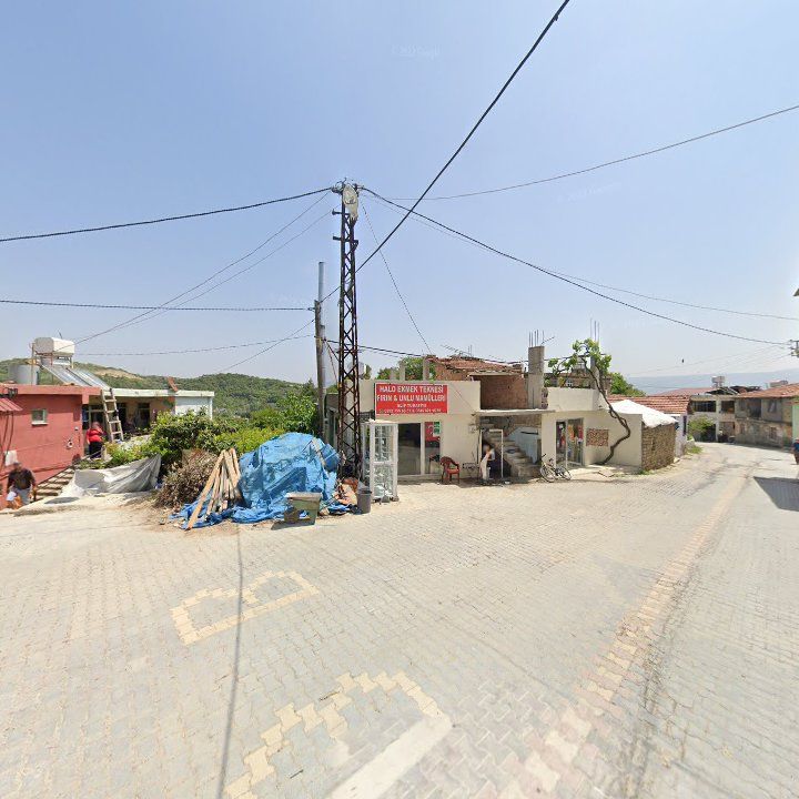 Fotoğraf 5