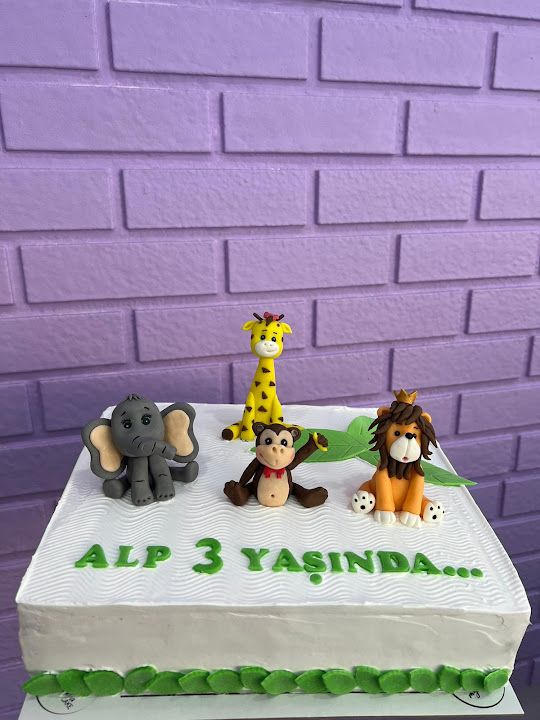 Fotoğraf 4