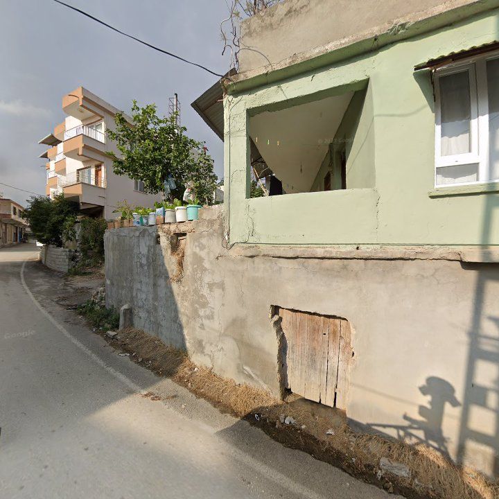 Fotoğraf 5