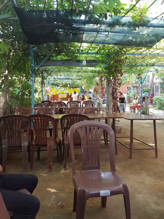Fotoğraf 4