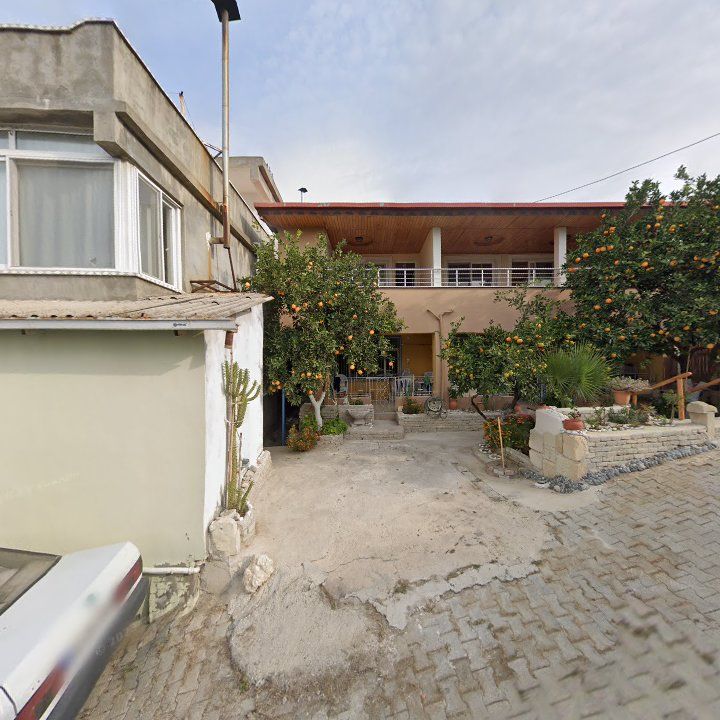 Fotoğraf 3
