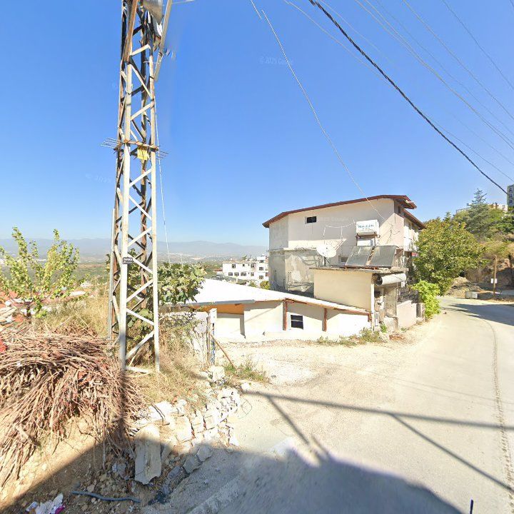 Fotoğraf 4