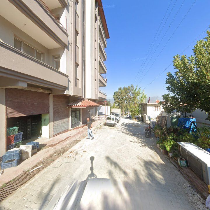 Fotoğraf 4
