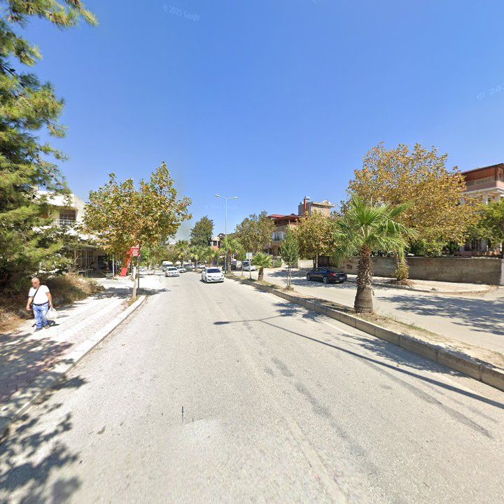 Fotoğraf 3