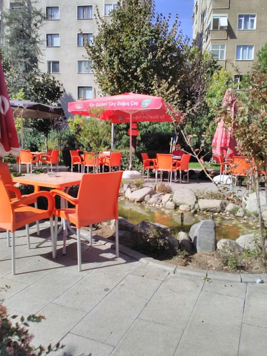 Fotoğraf 13
