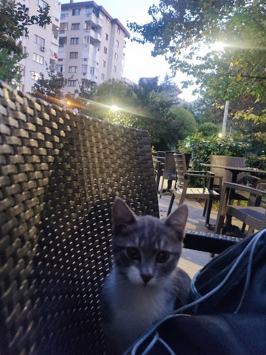 Yorum fotoğrafı 4