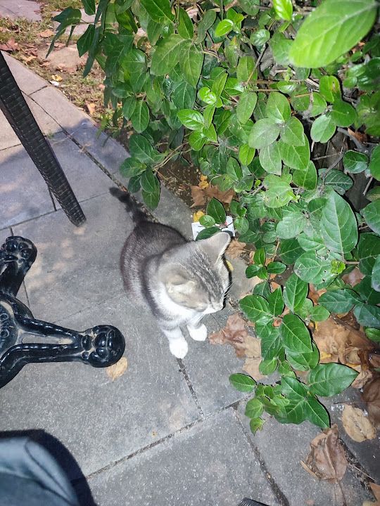 Yorum fotoğrafı 3